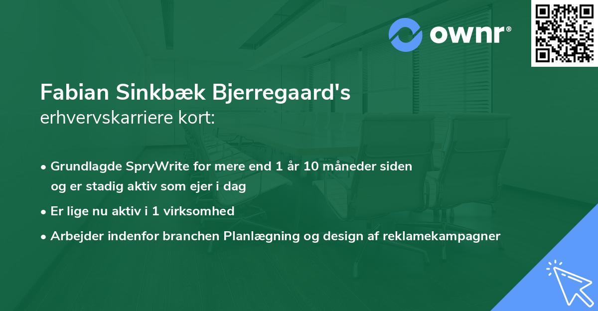 Fabian Sinkbæk Bjerregaard's erhvervskarriere kort