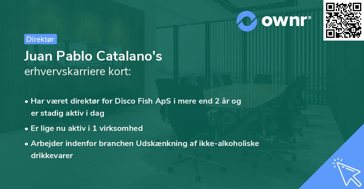 Juan Pablo Catalano's erhvervskarriere kort