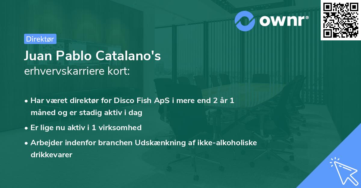 Juan Pablo Catalano's erhvervskarriere kort