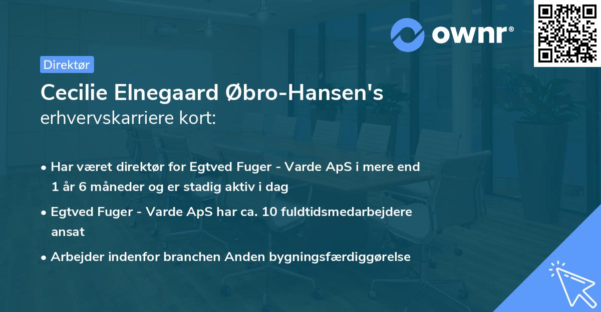 Cecilie Elnegaard Øbro-Hansen's erhvervskarriere kort
