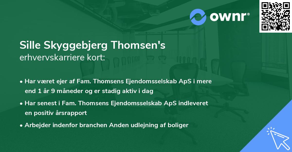 Sille Skyggebjerg Thomsen's erhvervskarriere kort