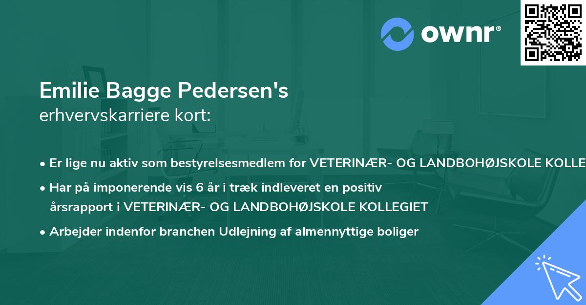 Emilie Bagge Pedersen's erhvervskarriere kort