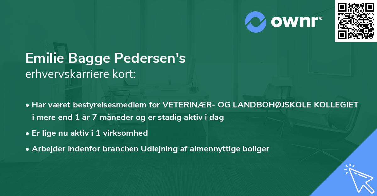 Emilie Bagge Pedersen's erhvervskarriere kort