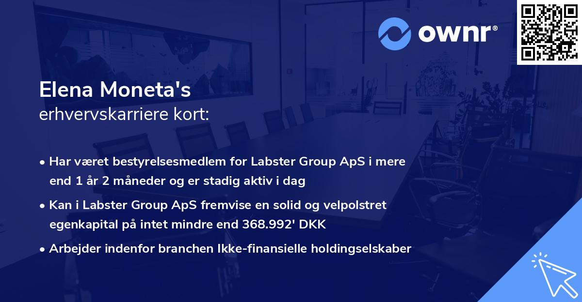 Elena Moneta's erhvervskarriere kort