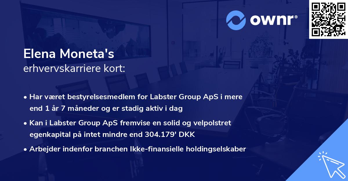 Elena Moneta's erhvervskarriere kort