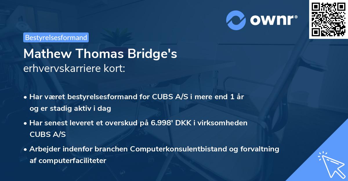 Mathew Thomas Bridge's erhvervskarriere kort
