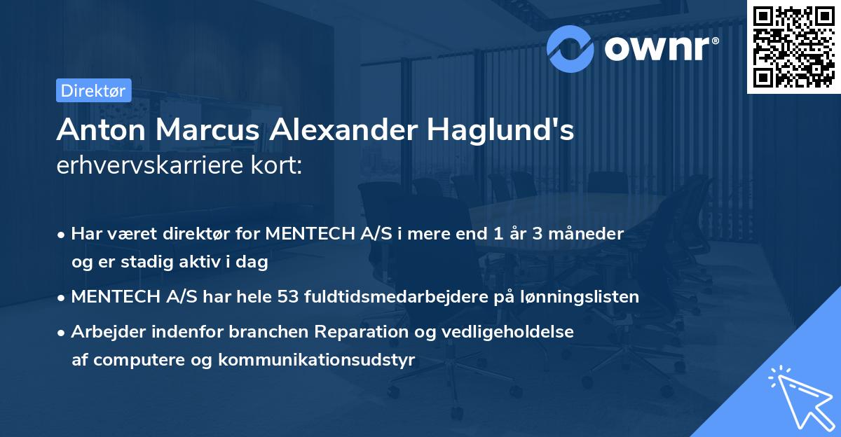 Anton Marcus Alexander Haglund's erhvervskarriere kort