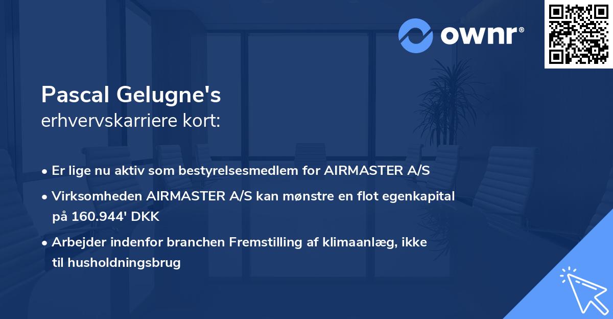 Pascal Gelugne's erhvervskarriere kort