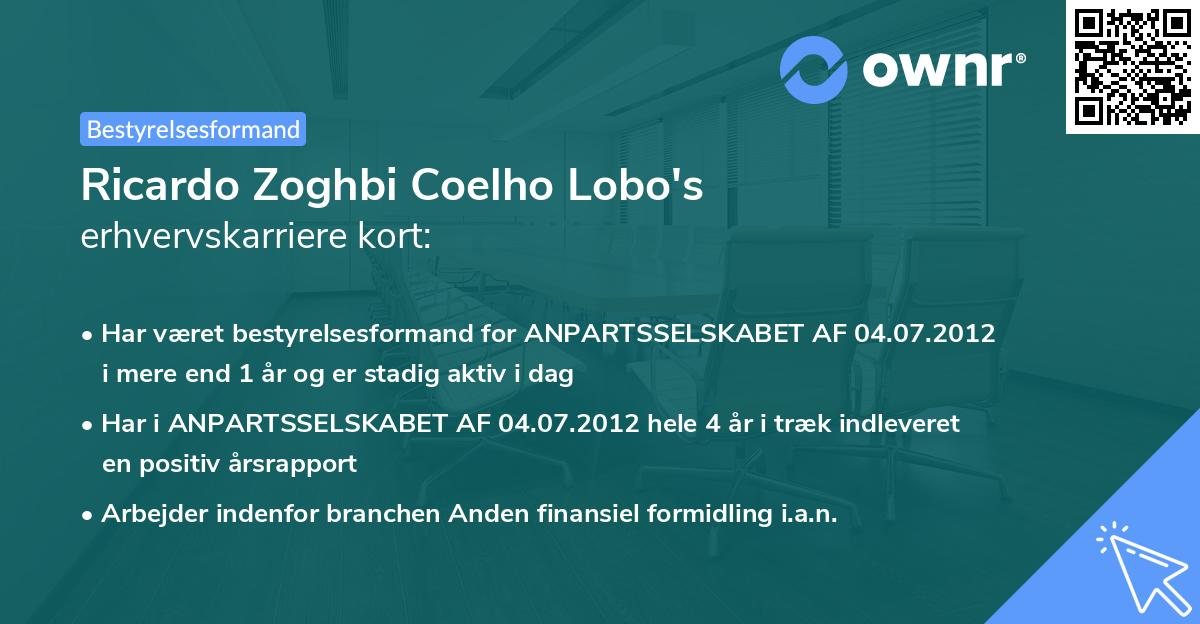Ricardo Zoghbi Coelho Lobo's erhvervskarriere kort