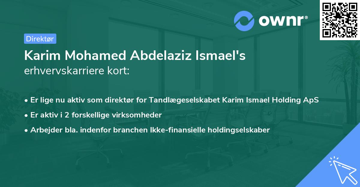 Karim Mohamed Abdelaziz Ismael's erhvervskarriere kort