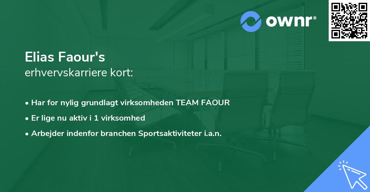 Elias Faour's erhvervskarriere kort