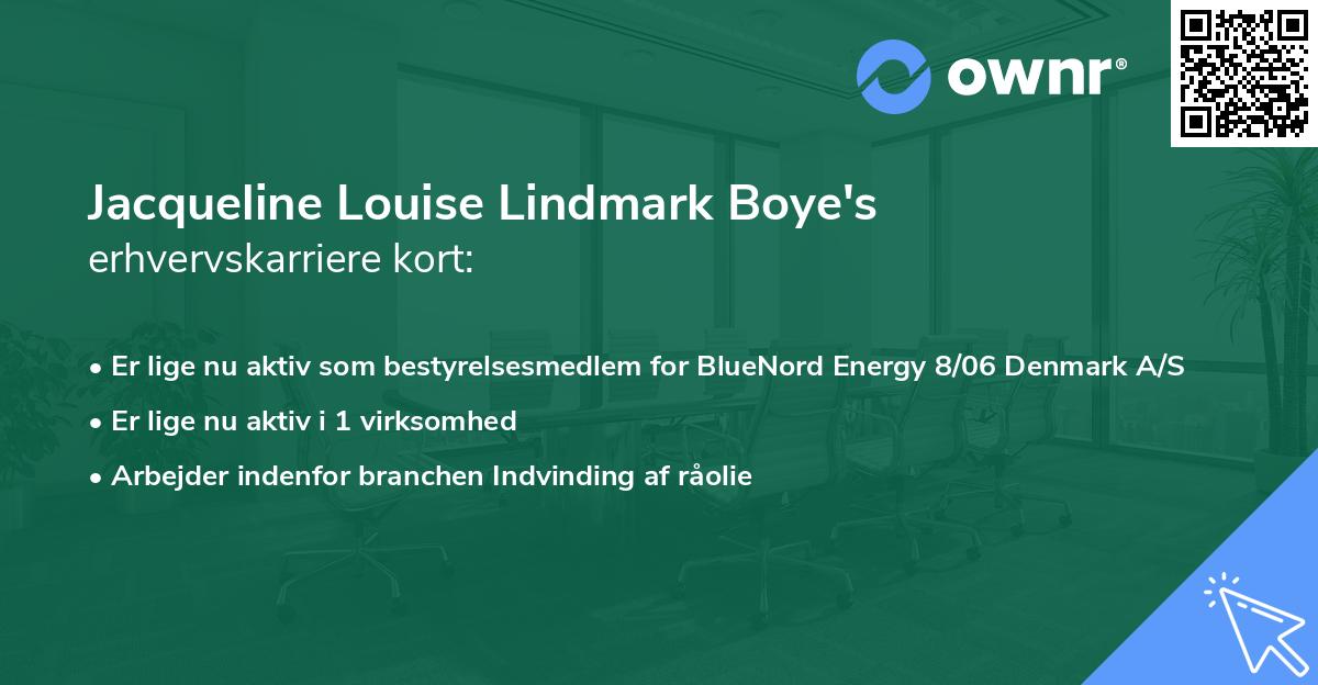 Jacqueline Louise Lindmark Boye's erhvervskarriere kort