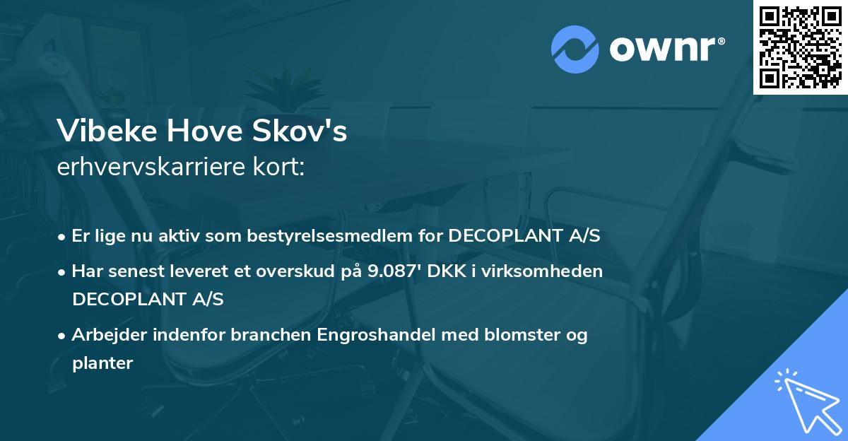Vibeke Hove Skov's erhvervskarriere kort