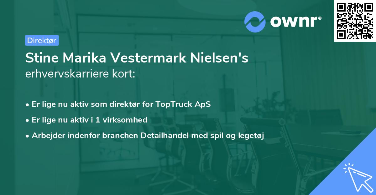 Stine Marika Vestermark Nielsen's erhvervskarriere kort