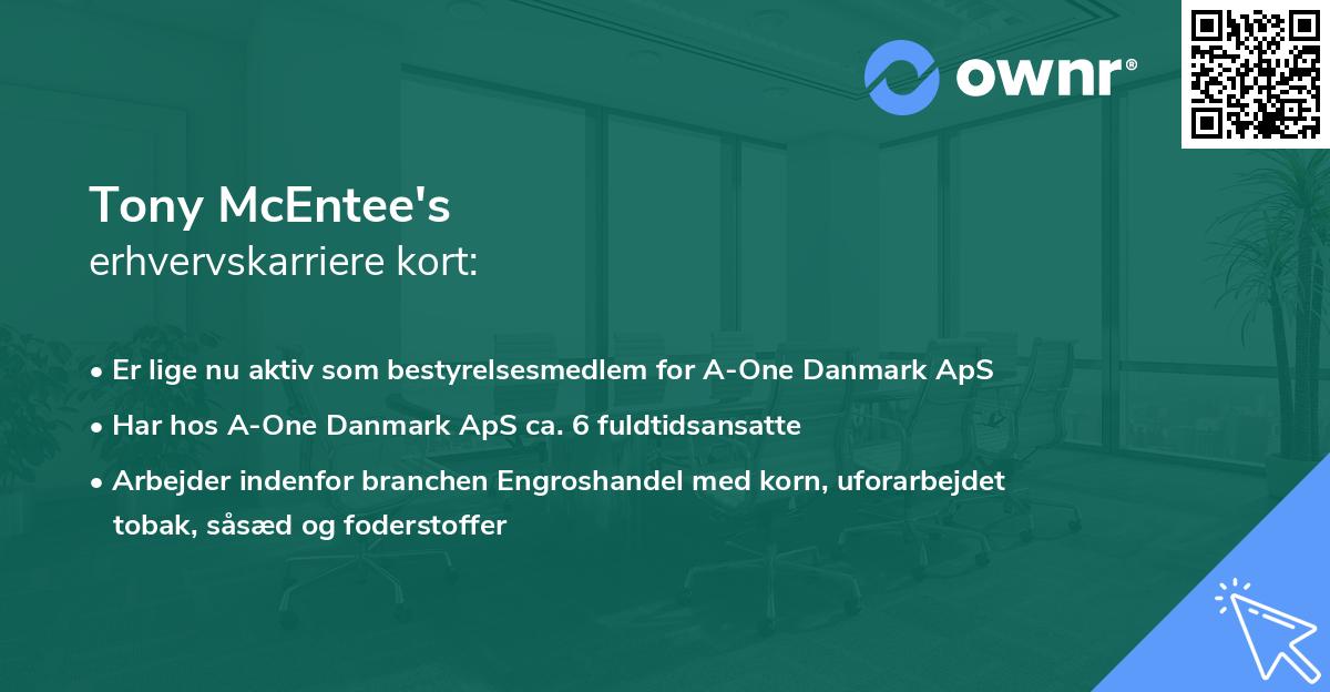 Tony McEntee's erhvervskarriere kort