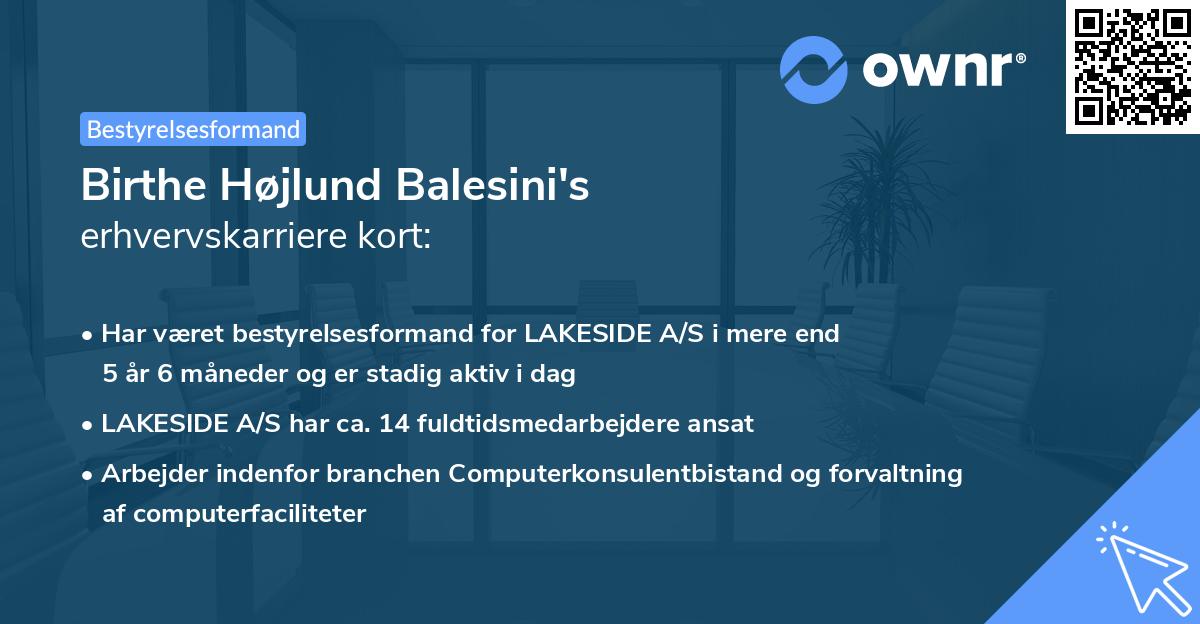 Birthe Højlund Balesini's erhvervskarriere kort