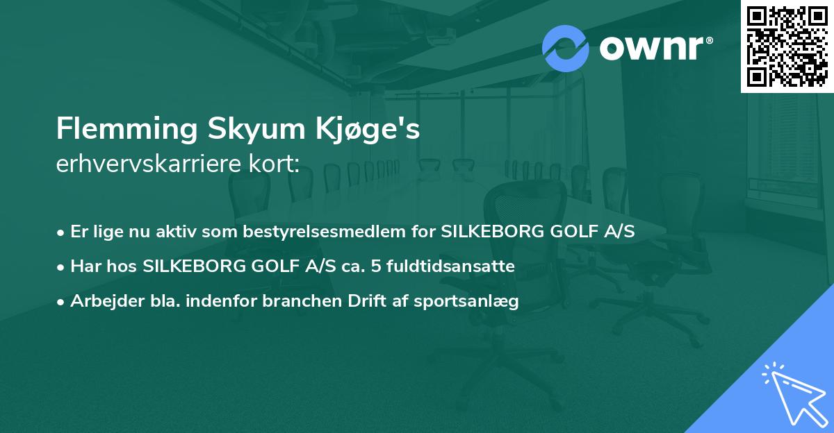 Flemming Skyum Kjøge's erhvervskarriere kort