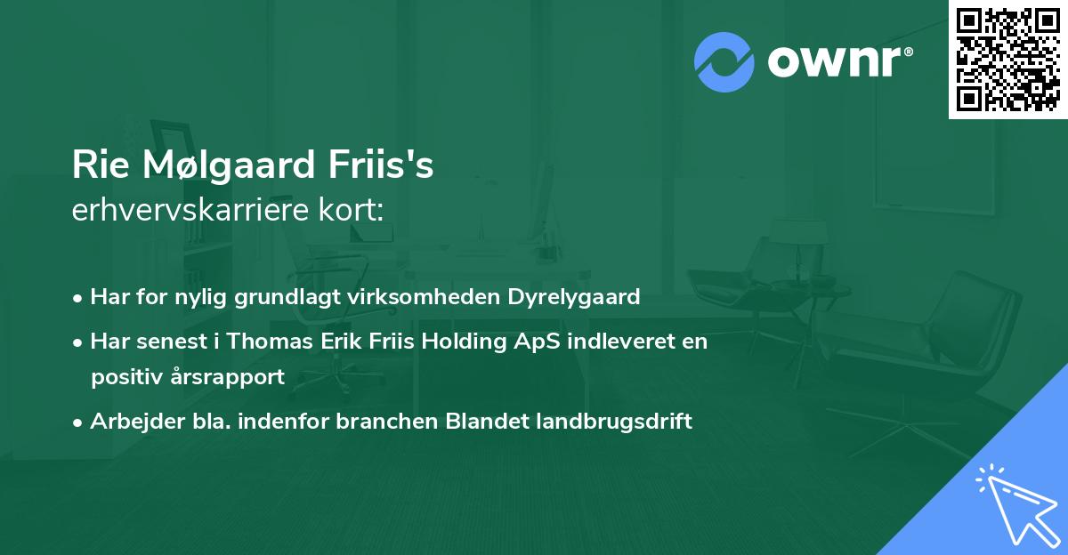 Rie Mølgaard Friis's erhvervskarriere kort