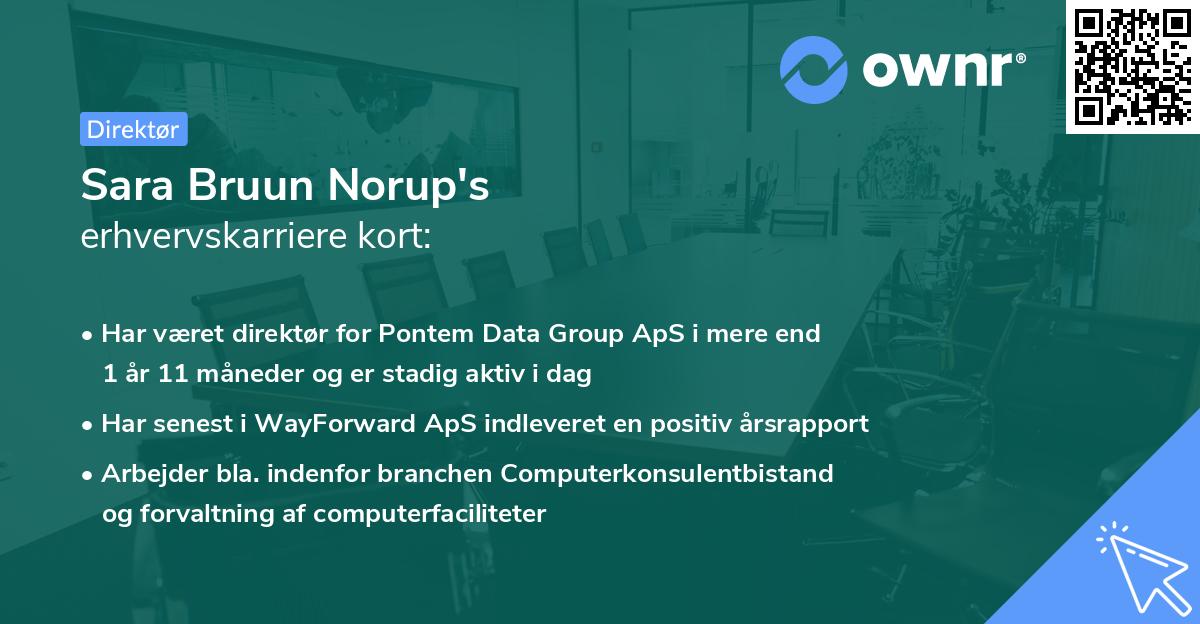 Sara Bruun Norup's erhvervskarriere kort