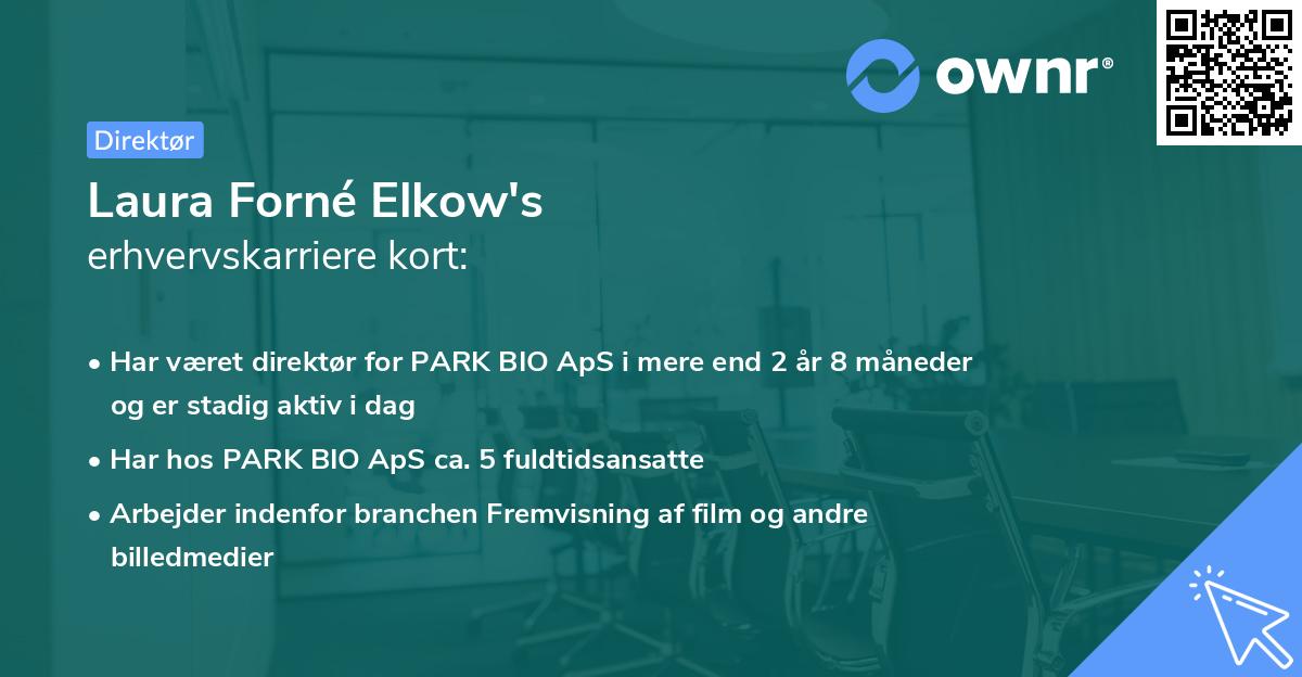 Laura Forné Elkow's erhvervskarriere kort