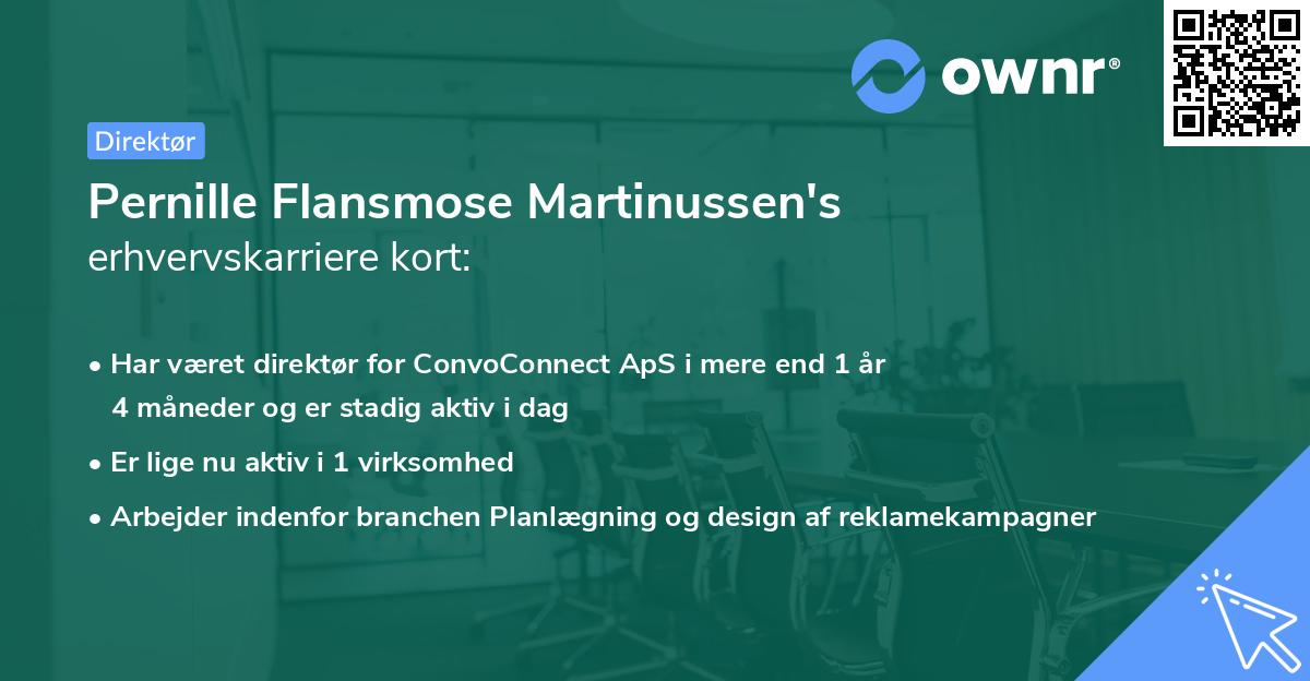 Pernille Flansmose Martinussen's erhvervskarriere kort