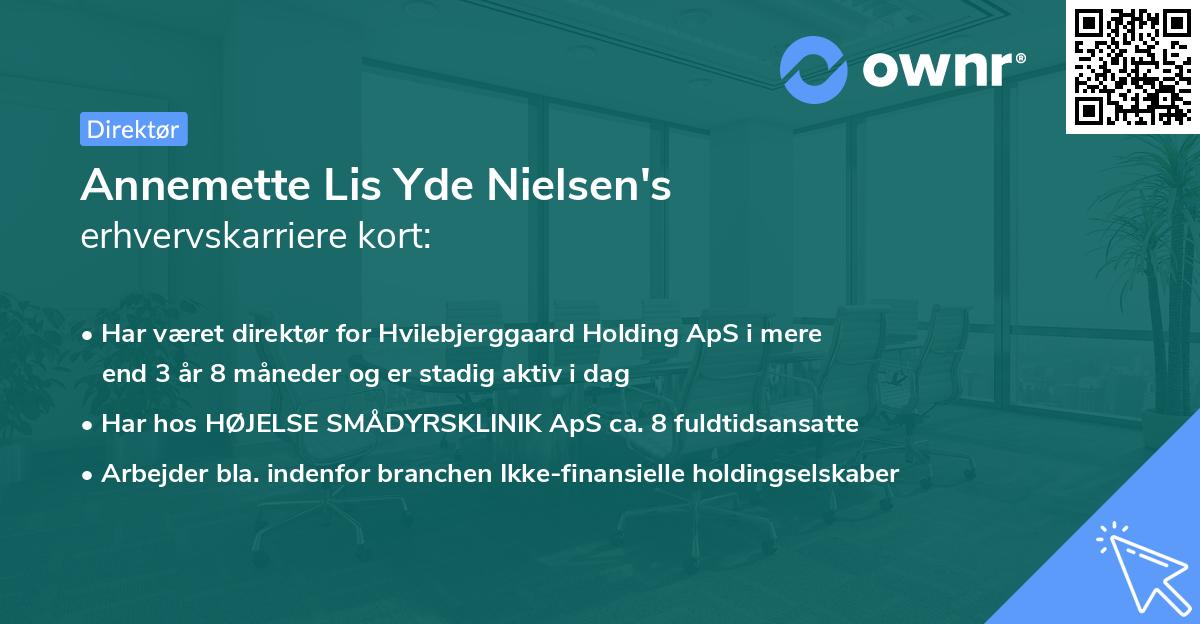 Annemette Lis Yde Nielsen's erhvervskarriere kort