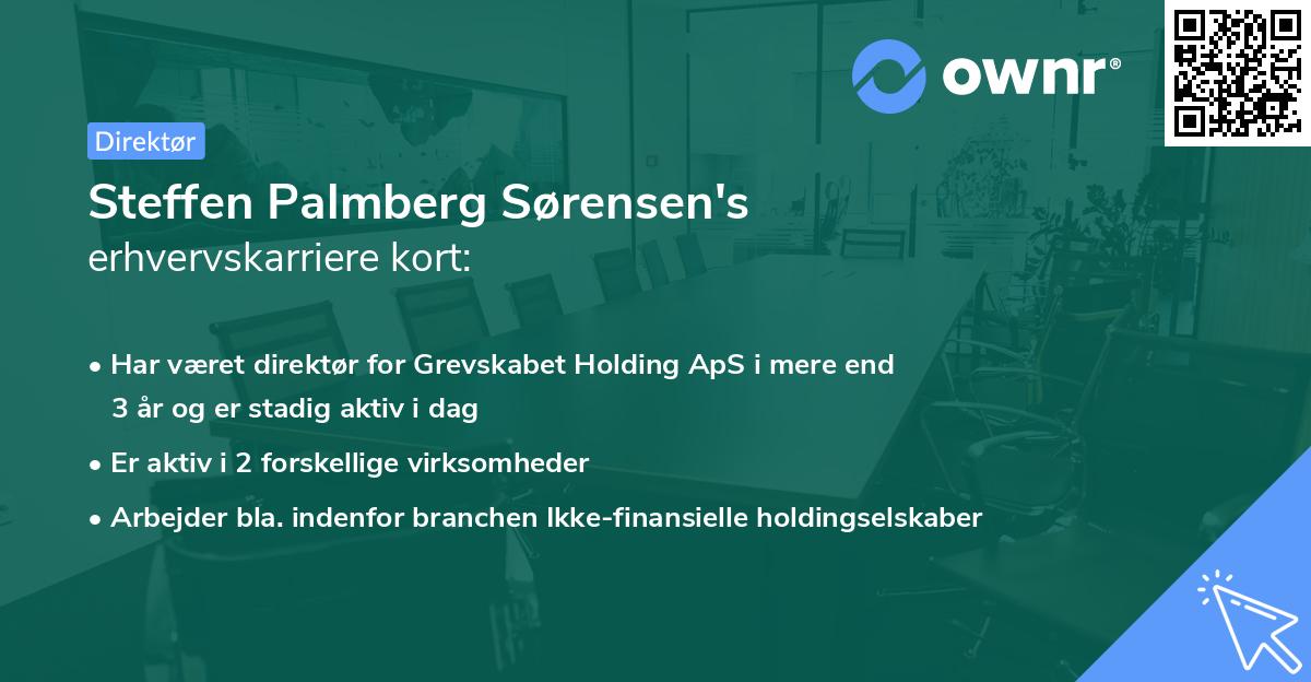 Steffen Palmberg Sørensen's erhvervskarriere kort