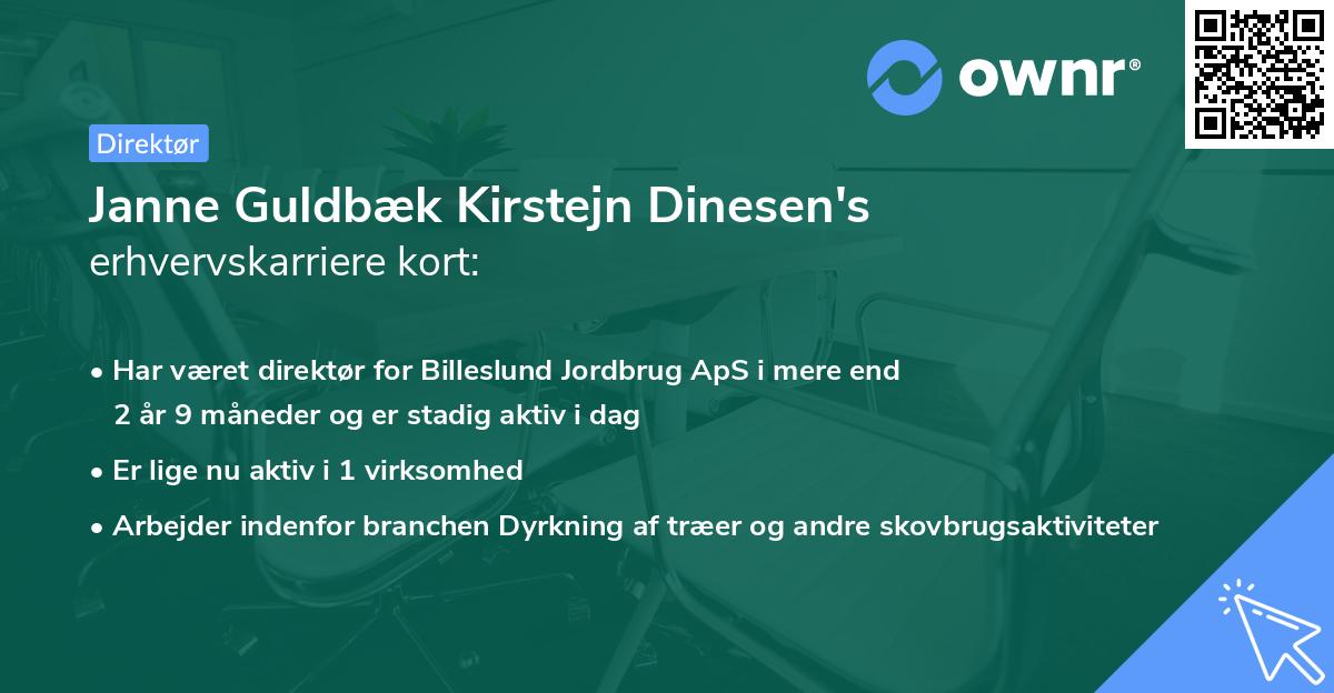 Janne Guldbæk Kirstejn Dinesen's erhvervskarriere kort