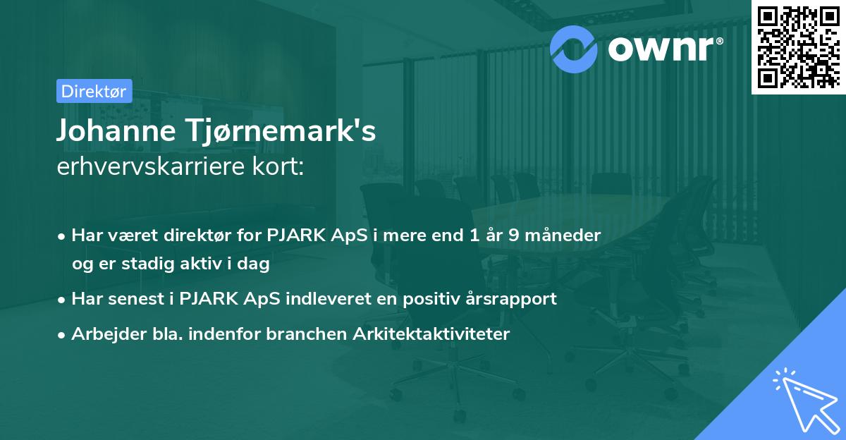 Johanne Tjørnemark's erhvervskarriere kort