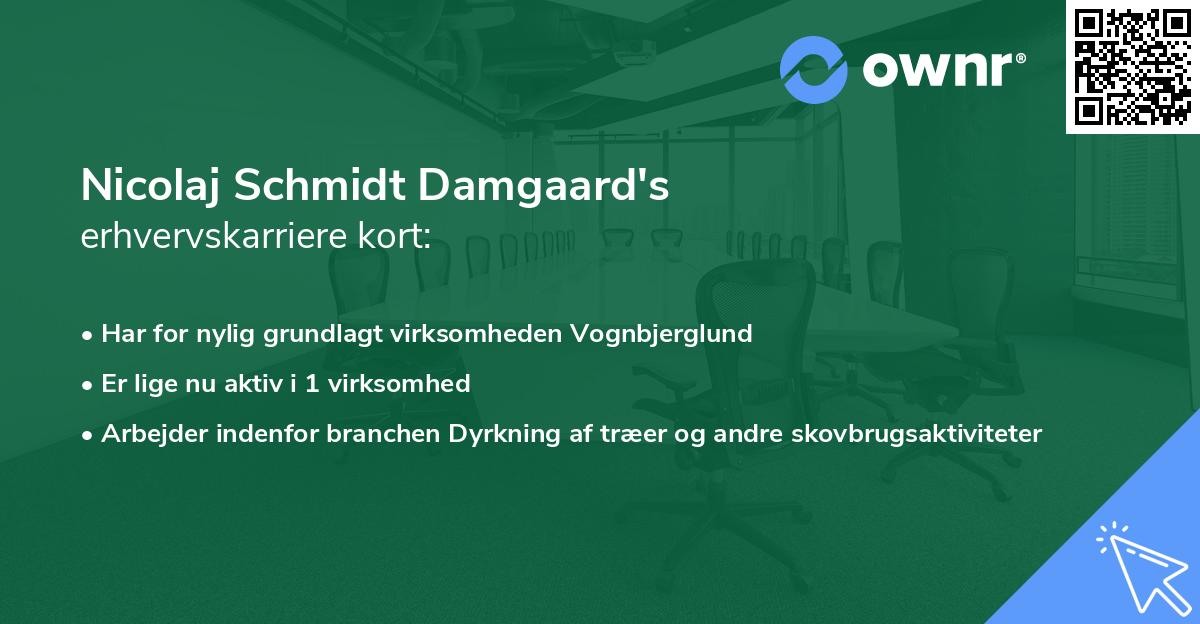 Nicolaj Schmidt Damgaard's erhvervskarriere kort