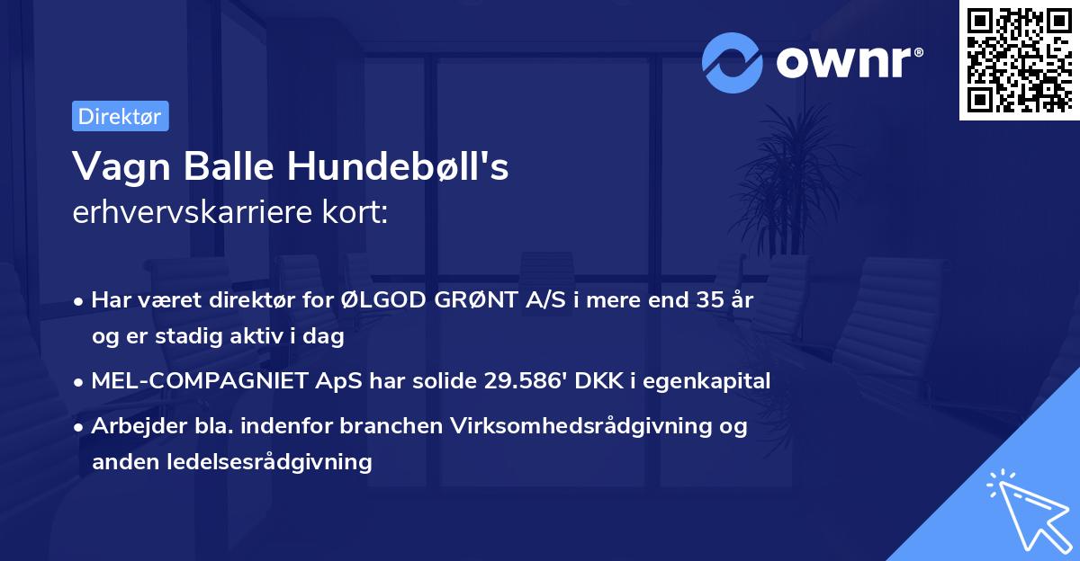 Vagn Balle Hundebøll's erhvervskarriere kort