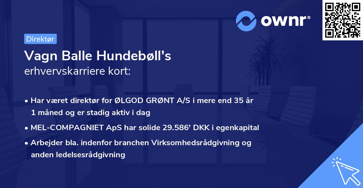 Vagn Balle Hundebøll's erhvervskarriere kort