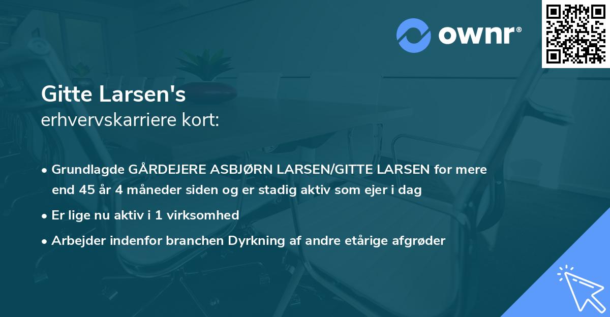 Gitte Larsen's erhvervskarriere kort