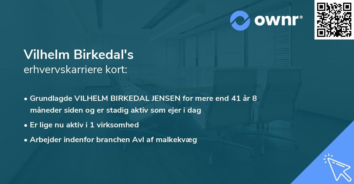 Vilhelm Birkedal's erhvervskarriere kort