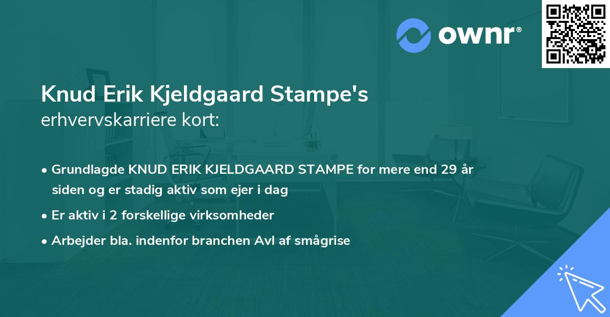 Knud Erik Kjeldgaard Stampe's erhvervskarriere kort