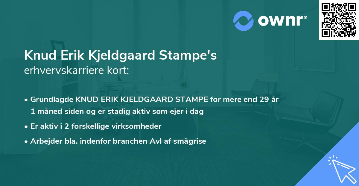 Knud Erik Kjeldgaard Stampe's erhvervskarriere kort