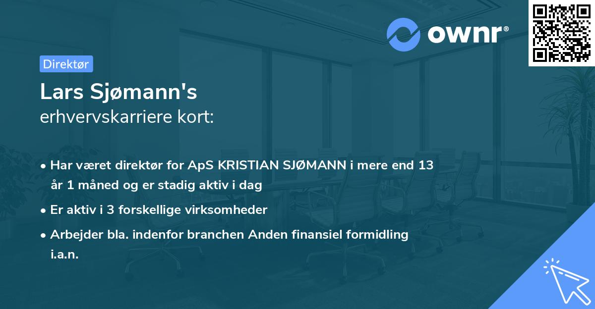 Lars Sjømann's erhvervskarriere kort