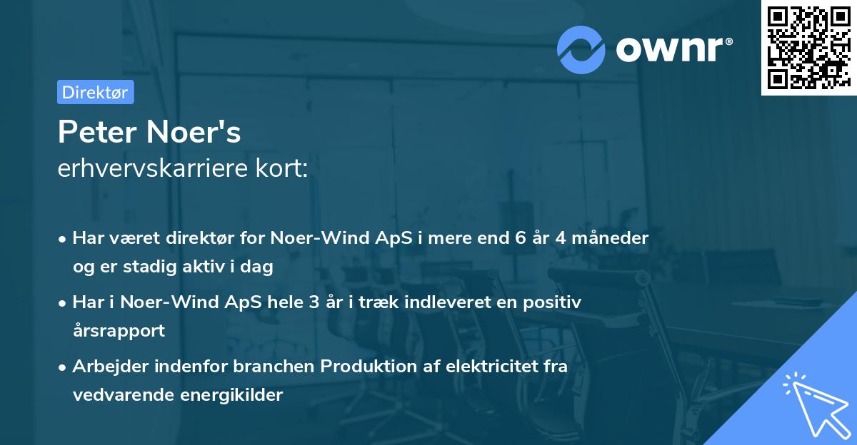 Peter Noer's erhvervskarriere kort