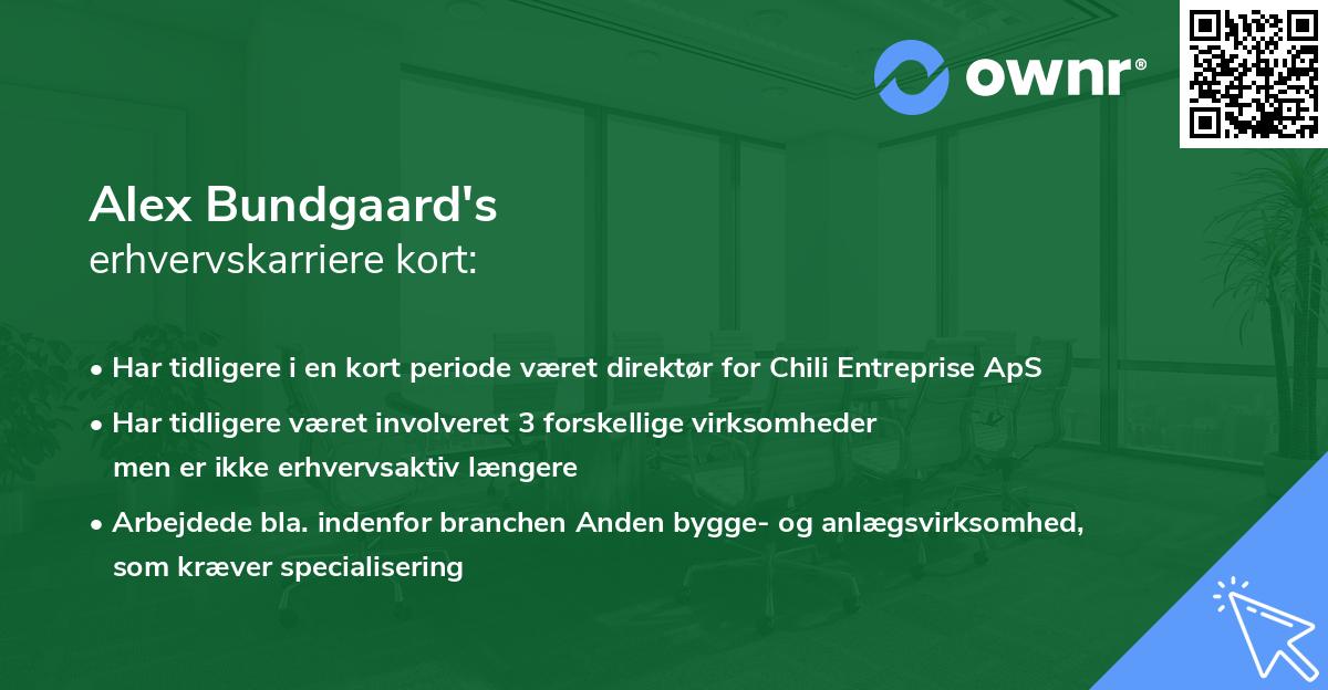 Alex Bundgaard's erhvervskarriere kort