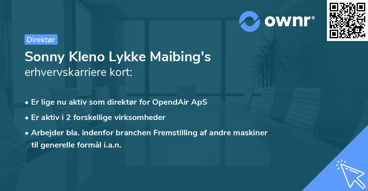Sonny Kleno Lykke Maibing's erhvervskarriere kort