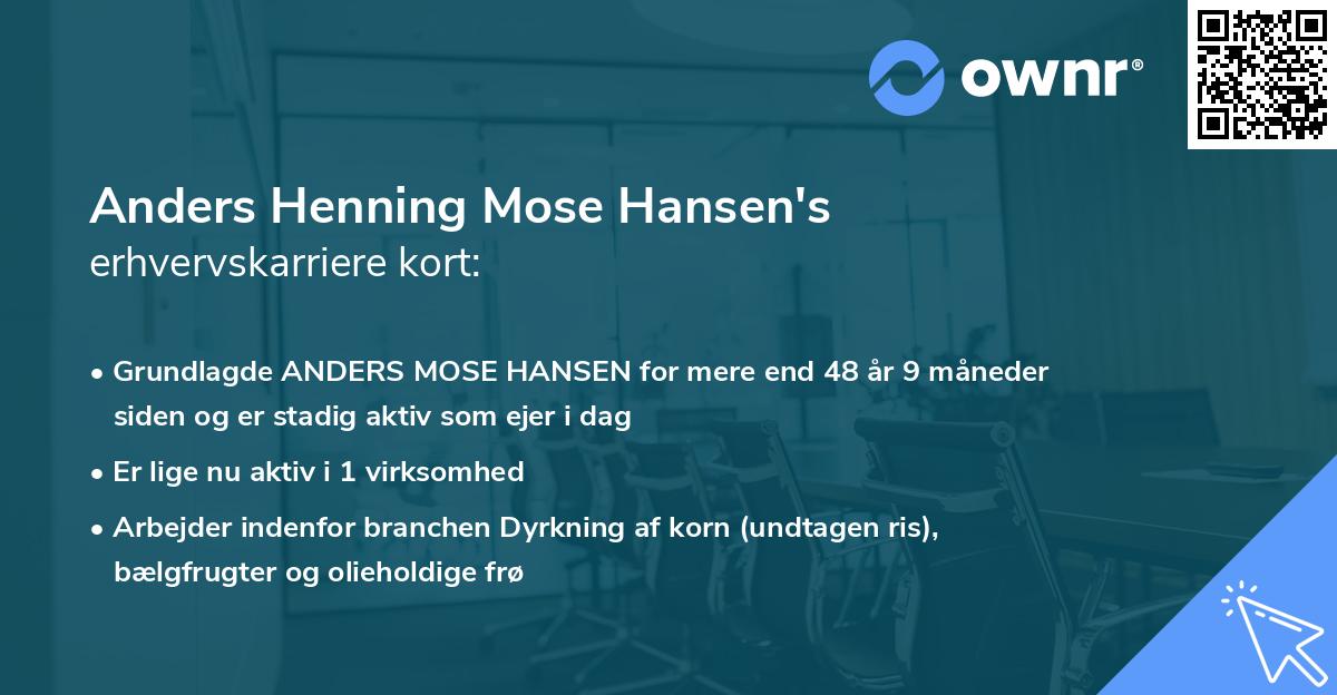 Anders Henning Mose Hansen's erhvervskarriere kort