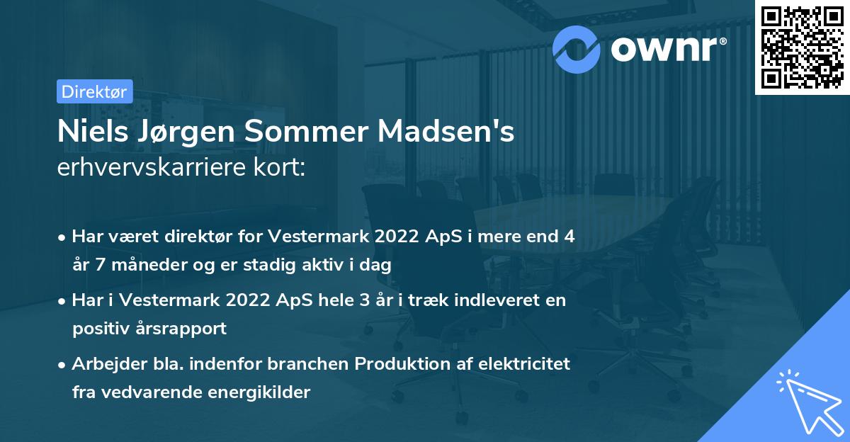 Niels Jørgen Sommer Madsen's erhvervskarriere kort
