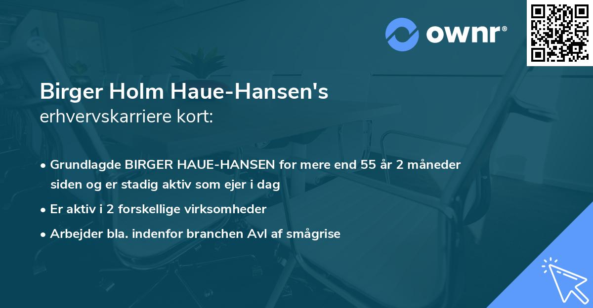 Birger Holm Haue-Hansen's erhvervskarriere kort