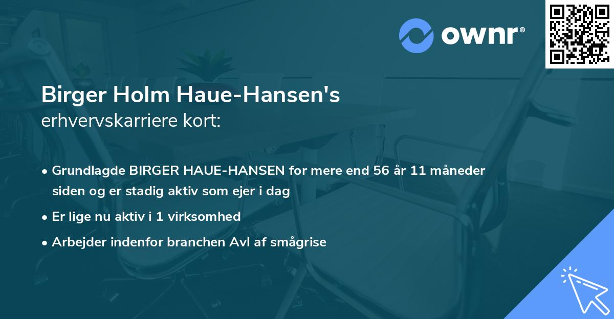 Birger Holm Haue-Hansen's erhvervskarriere kort