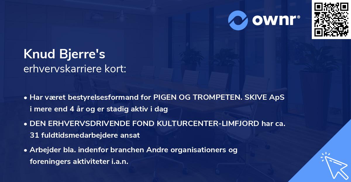 Knud Bjerre's erhvervskarriere kort