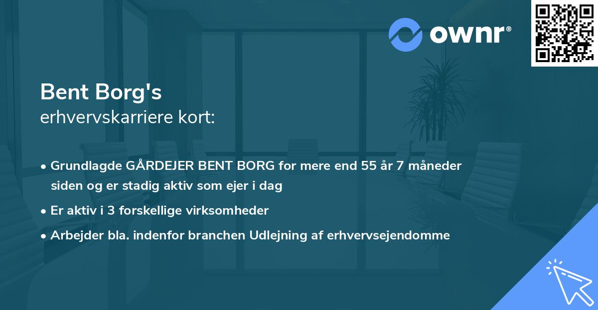 Bent Borg's erhvervskarriere kort