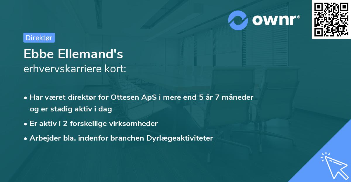 Ebbe Ellemand's erhvervskarriere kort