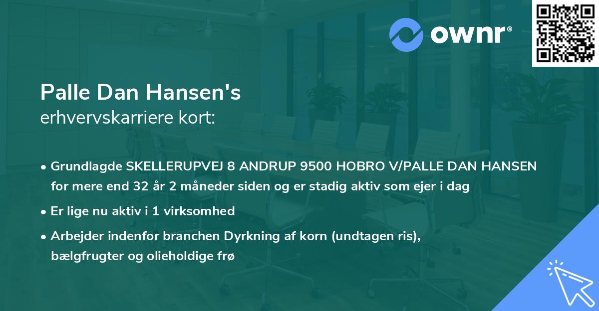 Palle Dan Hansen's erhvervskarriere kort