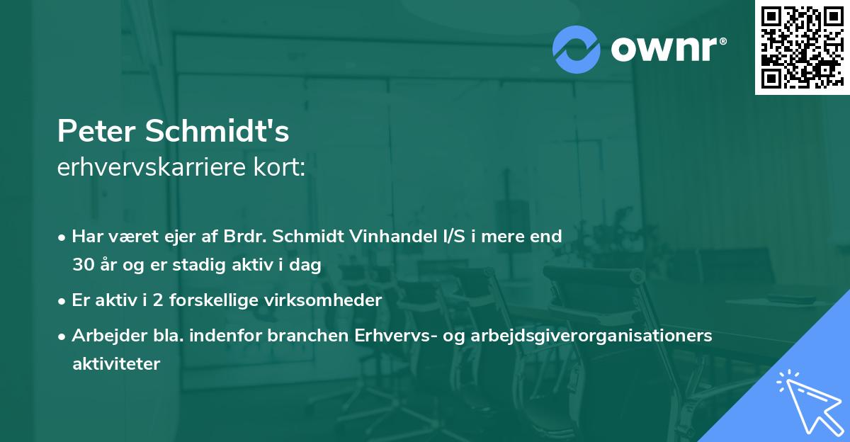 Peter Schmidt's erhvervskarriere kort