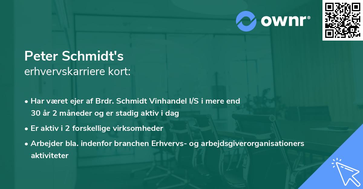 Peter Schmidt's erhvervskarriere kort